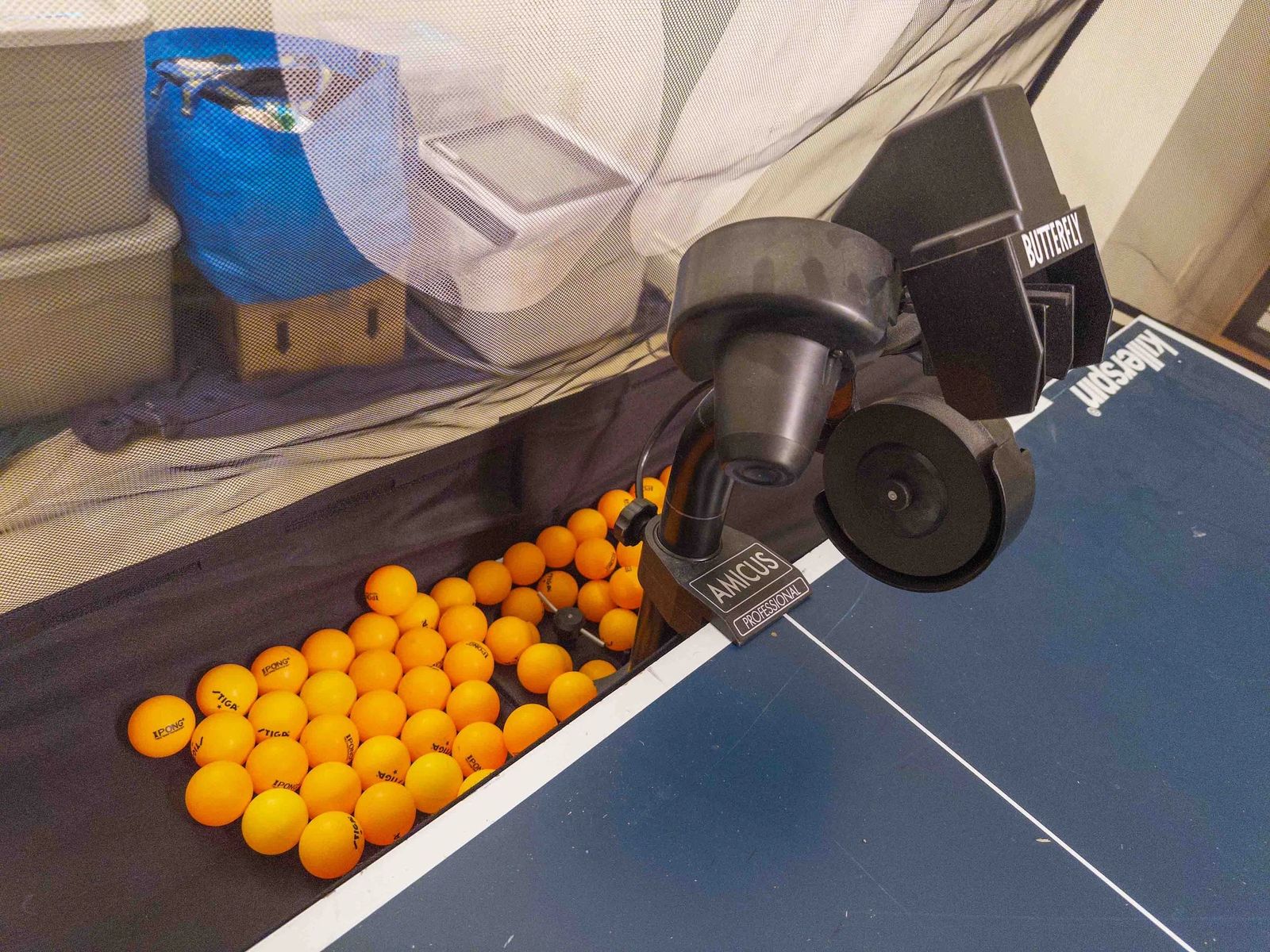 Butterfly Table Tennis Robot. Amicus Professional, photo 1
